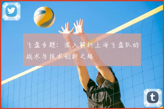 飞盘专题:深入解析上海飞盘队的战术与技术创新之路