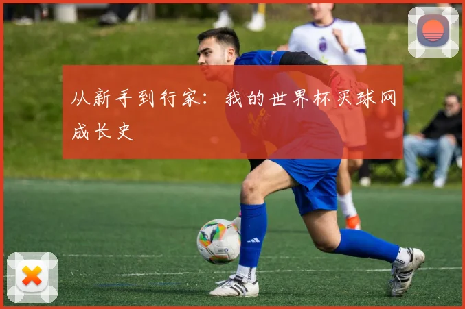从新手到行家：我的世界杯买球网成长史