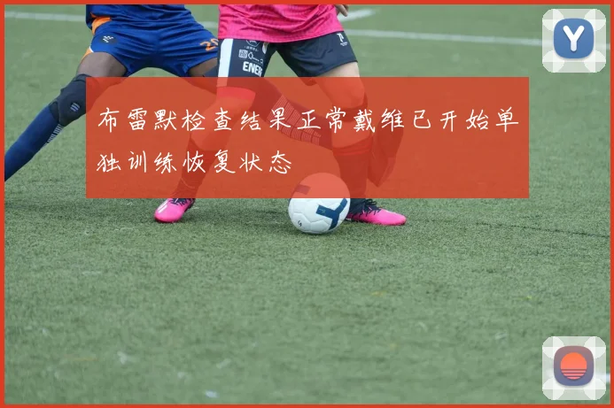 布雷默检查结果正常戴维已开始单独训练恢复状态