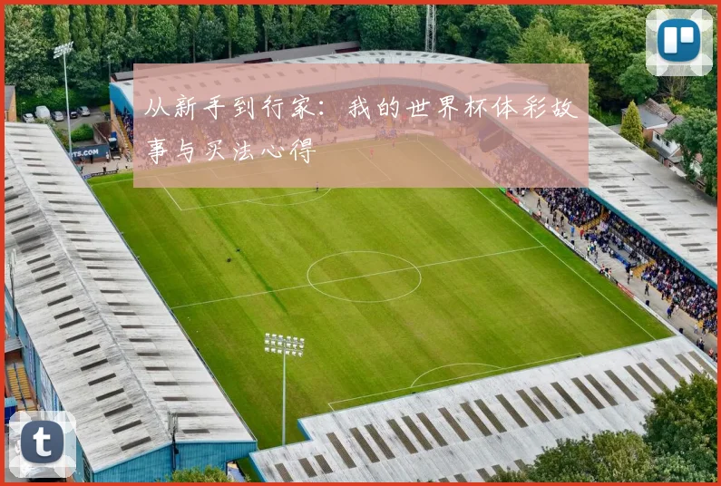 从新手到行家：我的世界杯体彩故事与买法心得