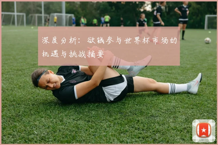 深度分析：欲钱参与世界杯市场的机遇与挑战摘要