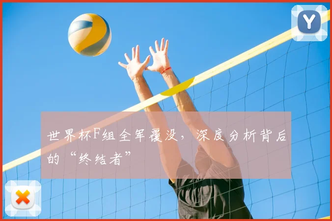 世界杯F组全军覆没,深度分析背后的“终结者”