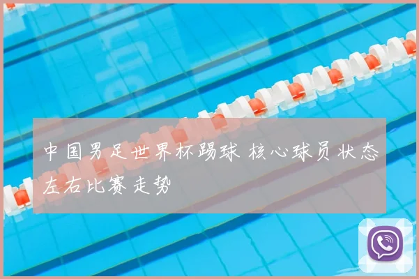中国男足世界杯踢球 核心球员状态左右比赛走势