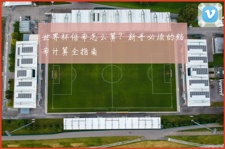 世界杯倍率怎么算？新手必读的赔率计算全指南