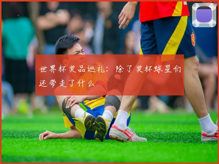 世界杯奖品巡礼:除了奖杯球星们还带走了什么