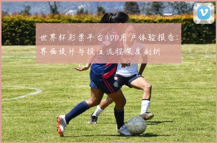 世界杯彩票平台app用户体验报告：界面设计与投注流程深度剖析