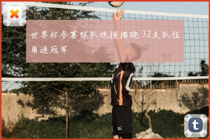 世界杯参赛球队规模揭晓 32支队伍角逐冠军