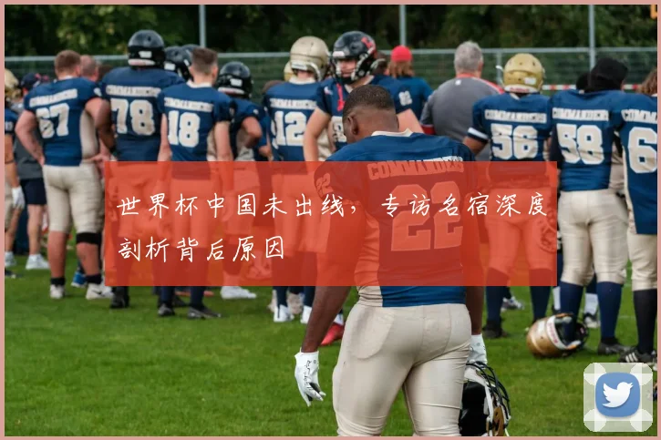 世界杯中国未出线,专访名宿深度剖析背后原因