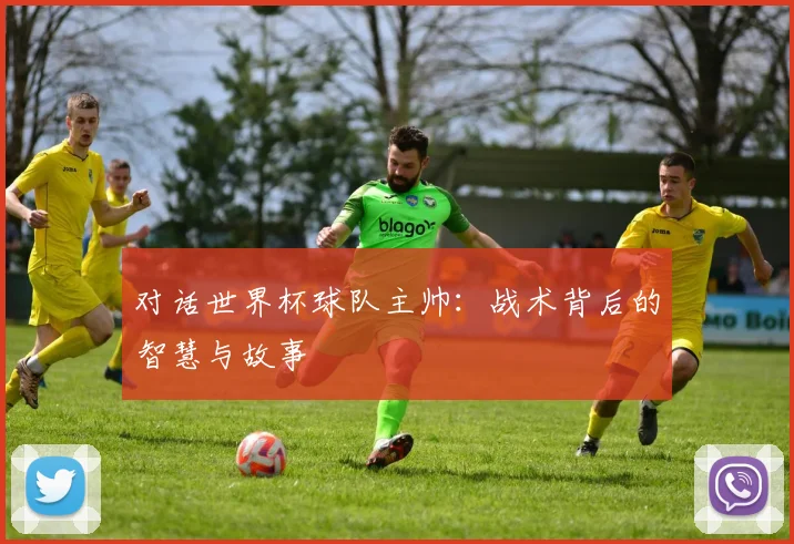对话世界杯球队主帅:战术背后的智慧与故事