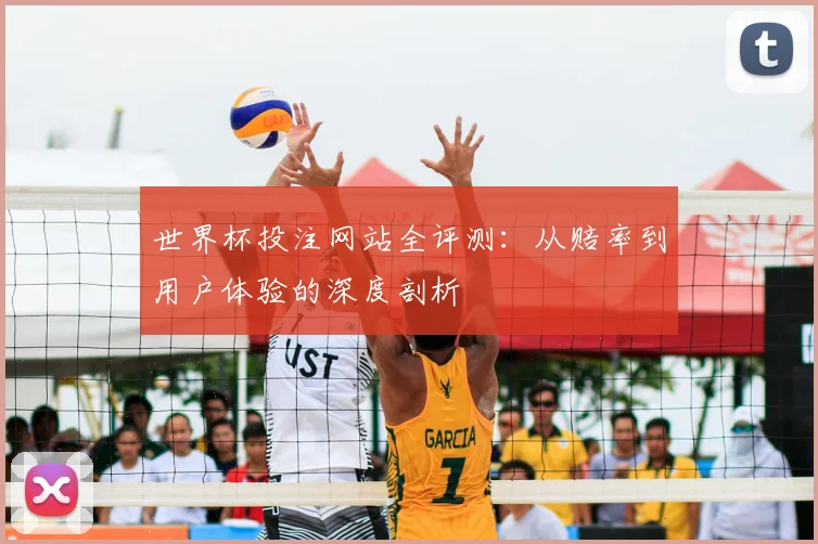 世界杯投注网站全评测:从赔率到用户体验的深度剖析