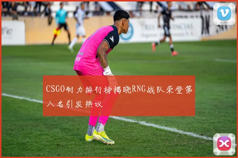 CSGO耐力排行榜揭晓RNG战队荣登第八名引发热议