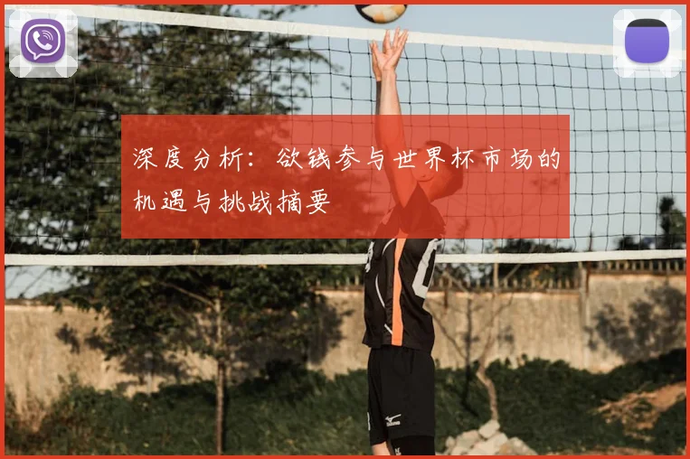 深度分析:欲钱参与世界杯市场的机遇与挑战摘要